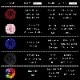 【全国配送可能・送料無料】 ダイヤモンドローズ [Lレザー] プリザーブドフラワー