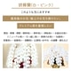 胡蝶蘭【白・ピンク】 [お届け可能エリア：豊橋市・浜松市]