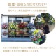 デザイナーズスタンド生花 XL [お届け可能エリア：豊橋市・浜松市]
