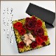【全国配送可能・送料無料】 12本の薔薇が詰まったフラワーボックス （プリザーブドフラワー）