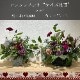 【母の日】選べる母の日ギフト/アレンジメント・フラワーボックス【宅配便配送・送料別】