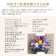 花束 XXXL  [お届け可能エリア：豊橋市・浜松市]