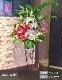 デザイナーズスタンド生花 M [お届け可能エリア：豊橋市・浜松市]