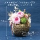【全国配送可能・送料無料】 和風アレンジメント 手毬 [L] （プリザーブドフラワー）