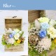 【全国配送可能・送料無料】 ウッドボックス [L] （プリザーブドフラワー）
