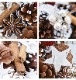 【全国配送可能・送料無料】  雪と木の実のクリスマスリース （プリザーブドフラワー）