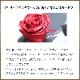 【全国配送可能・送料無料】 12本の薔薇が詰まったフラワーボックス （プリザーブドフラワー）