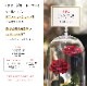 【全国配送可能・送料無料】 デスティニーローズ 【２本立ち】 プリザーブドフラワー