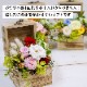 【全国配送可能・送料無料】 ウッドボックス [M] （プリザーブドフラワー）