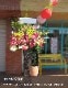 バルーン付きお祝いスタンド L　お花22,000円＋バルーン [お届け可能エリア：豊橋市・浜松市]