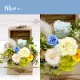 【全国配送可能・送料無料】 ウッドボックス [M] （プリザーブドフラワー）