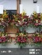 スタンド生花 L [お届け可能エリア：豊橋市・浜松市]