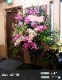 デザイナーズスタンド生花 XL [お届け可能エリア：豊橋市・浜松市]
