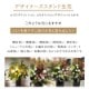 デザイナーズスタンド生花 M [お届け可能エリア：豊橋市・浜松市]