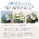 お供えアレンジメント [お届け可能エリア：豊橋市・浜松市]