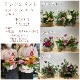 【母の日】選べる母の日ギフト/アレンジメント・フラワーボックス【宅配便配送・送料別】
