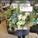 アレンジメント XL  [お届け可能エリア：豊橋市・浜松市]