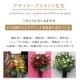デザイナーズスタンド生花 L [お届け可能エリア：豊橋市・浜松市]