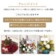 アレンジメント XL  [お届け可能エリア：豊橋市・浜松市]