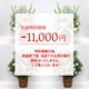 初盆・新盆・お盆のお供え花（盆供のお花）【1対（2個セット）】［数量限定：条件付き商品］【お届け可能エリア：浜松市一部地域】