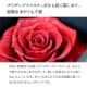 【全国配送可能・送料無料】 ダイヤモンドローズ ［L］ プリザーブドフラワー
