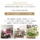 贈り物の定番 アレンジメント M [お届け可能エリア：豊橋市・浜松市]