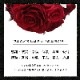 【全国配送可能・送料無料】 12本のバラの花束 （プリザーブドフラワー）