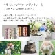 【全国配送可能・送料無料】  大切なペットに捧げるアレンジギフトセット - 選べるお花とお線香（ディズニー） - （プリザーブドフラワー）