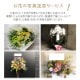 スタンド生花 L [お届け可能エリア：豊橋市・浜松市]
