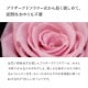 【全国配送可能・送料無料】 ダイヤモンドローズ [M] プリザーブドフラワー
