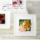 【全国配送可能・送料無料】 ウッドフレーム - Square - （プリザーブドフラワー）