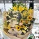 花束 XXXL  [お届け可能エリア：豊橋市・浜松市]