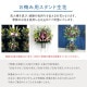 お供えスタンド生花 [お届け可能エリア：豊橋市・浜松市]