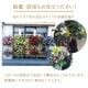 スタンド生花 L [お届け可能エリア：豊橋市・浜松市]