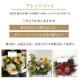 アレンジメント L [お届け可能エリア：豊橋市・浜松市]