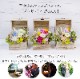 【全国配送可能・送料無料】 ウッドボックス [L] （プリザーブドフラワー）