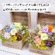 【全国配送可能・送料無料】 ウッドボックス [L] （プリザーブドフラワー）