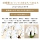 胡蝶蘭【白・ピンク】 [お届け可能エリア：豊橋市・浜松市]