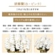 胡蝶蘭【白・ピンク】 [お届け可能エリア：豊橋市・浜松市]