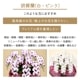 胡蝶蘭【白・ピンク】 [お届け可能エリア：豊橋市・浜松市]