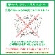 【全国配送可能・送料無料】 しめ縄 ピンク （アーティフィシャルフラワー）