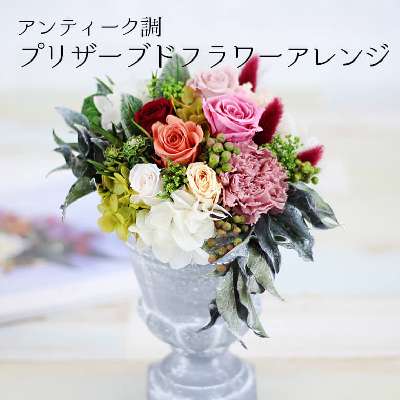アモル